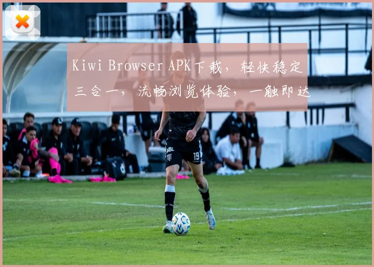 Kiwi Browser APK下载，轻快稳定三合一，流畅浏览体验，一触即达